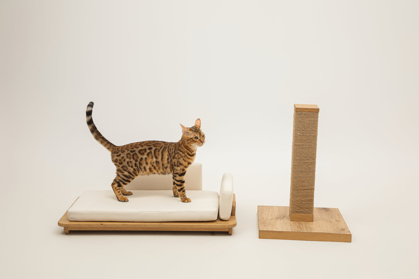 Neko Scratcher